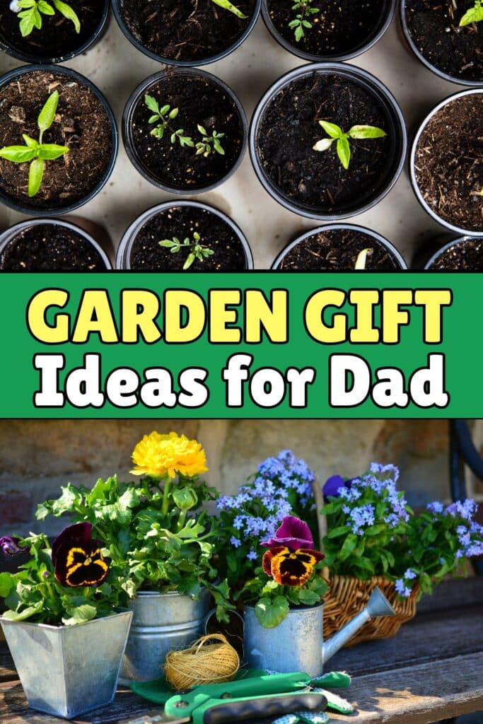 Garden Gift ideas for dad - plants sprouting and flowers in a watering can shown