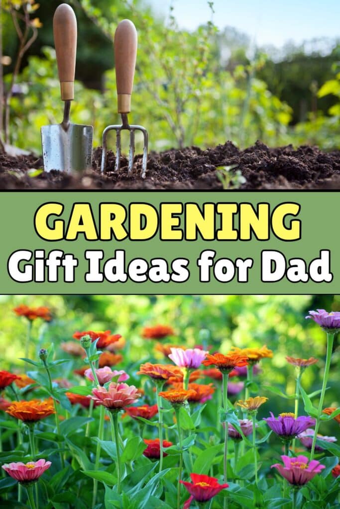 gardening gift ideas for dad - garden tools shown in dirt, zinna flowers in bloom