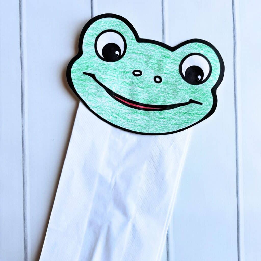 frog puppet glued together