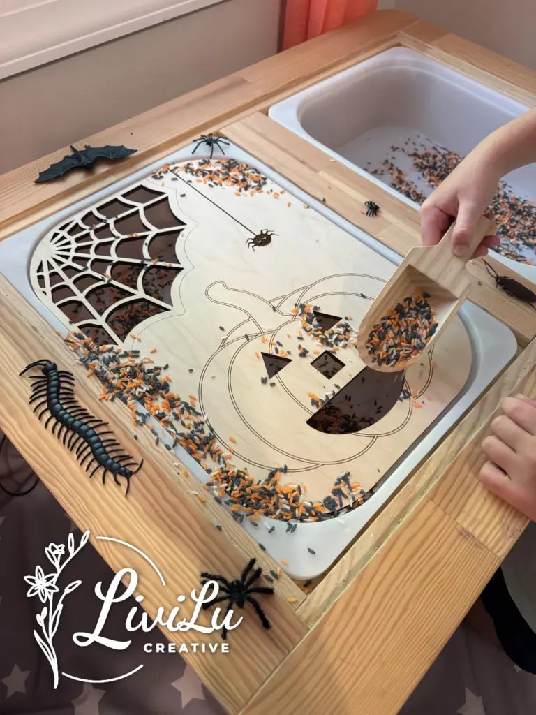 Halloween Pumpkin & Spider Web Sorter by LiviLuCreative.