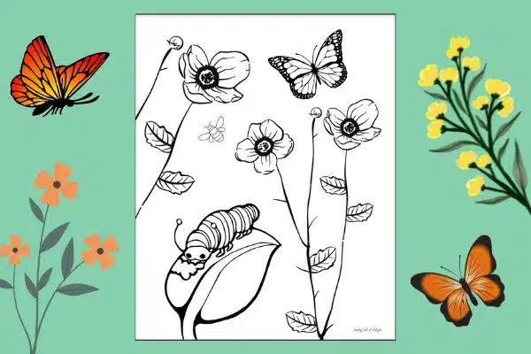 butterfly coloring page with caterpillar