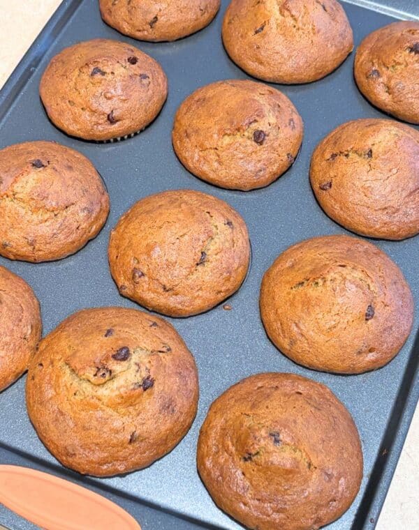 Gluten Free Banana Chocolate Chip muffins